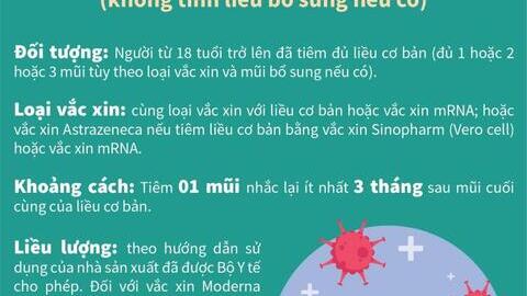 Hướng dẫn tiêm vắc xin phòng Covid-19 (Công văn 3309/BYT-DP ngày 23 tháng 6 năm 2022 của Bộ Y tế)