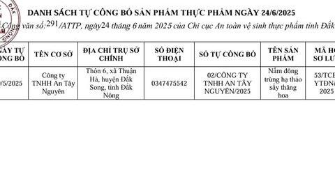 DANH SÁCH TỰ CÔNG BỐ SẢN PHẨM THỰC PHẨM NGÀY 24/6/2025