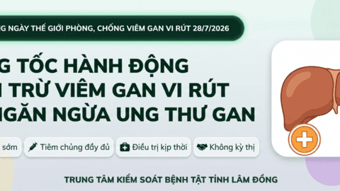 Tăng tốc hành động loại trừ viêm gan vi rút và ngăn ngừa ung thư gan