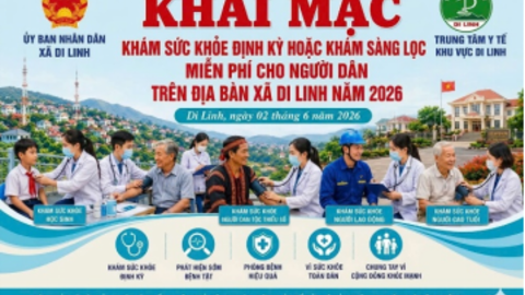 <a href="/tin-tuc-su-kien" title="Tin tức - sự kiện" rel="dofollow">Tin nổi bật</a>